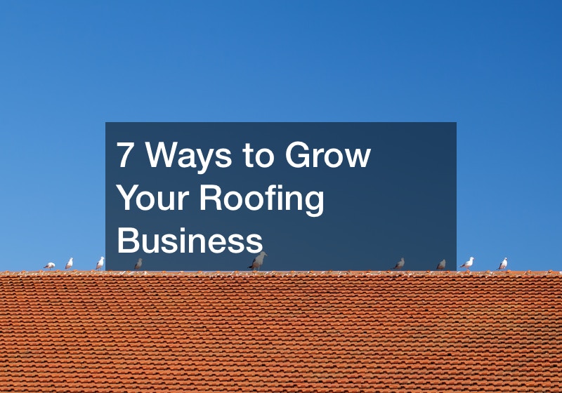 economical roofing options