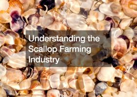 Understanding the Scallop Farming Industry
