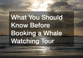 What You Should Know Before Booking a Whale Watching Your