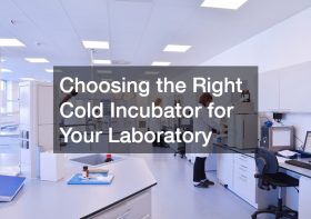 Choosing the Right Cold Incubator for Your Laboratory